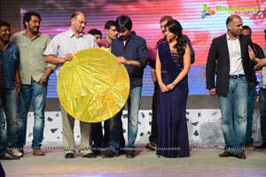 Balupu Audio Release