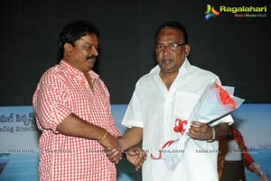 Band Balu Audio Release