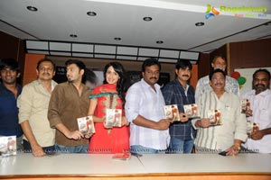 Dega Audio Release Function