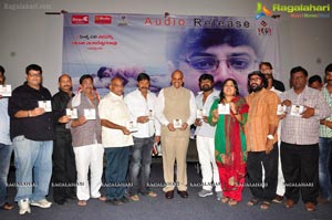 Mango Audio Release