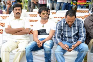 Sudhir Babu Mayadari Malligadu Muhurat