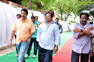 NBK-Boyapati Film Muhurat