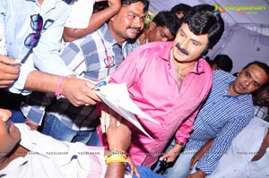 NBK-Boyapati Film Muhurat