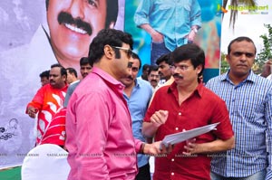 NBK-Boyapati Film Muhurat