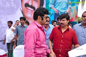 NBK-Boyapati Film Muhurat