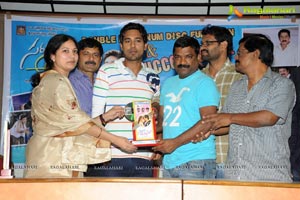 Saradaga Ammayito Double Platinum Disc