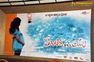 Waiting For You Logo Launch