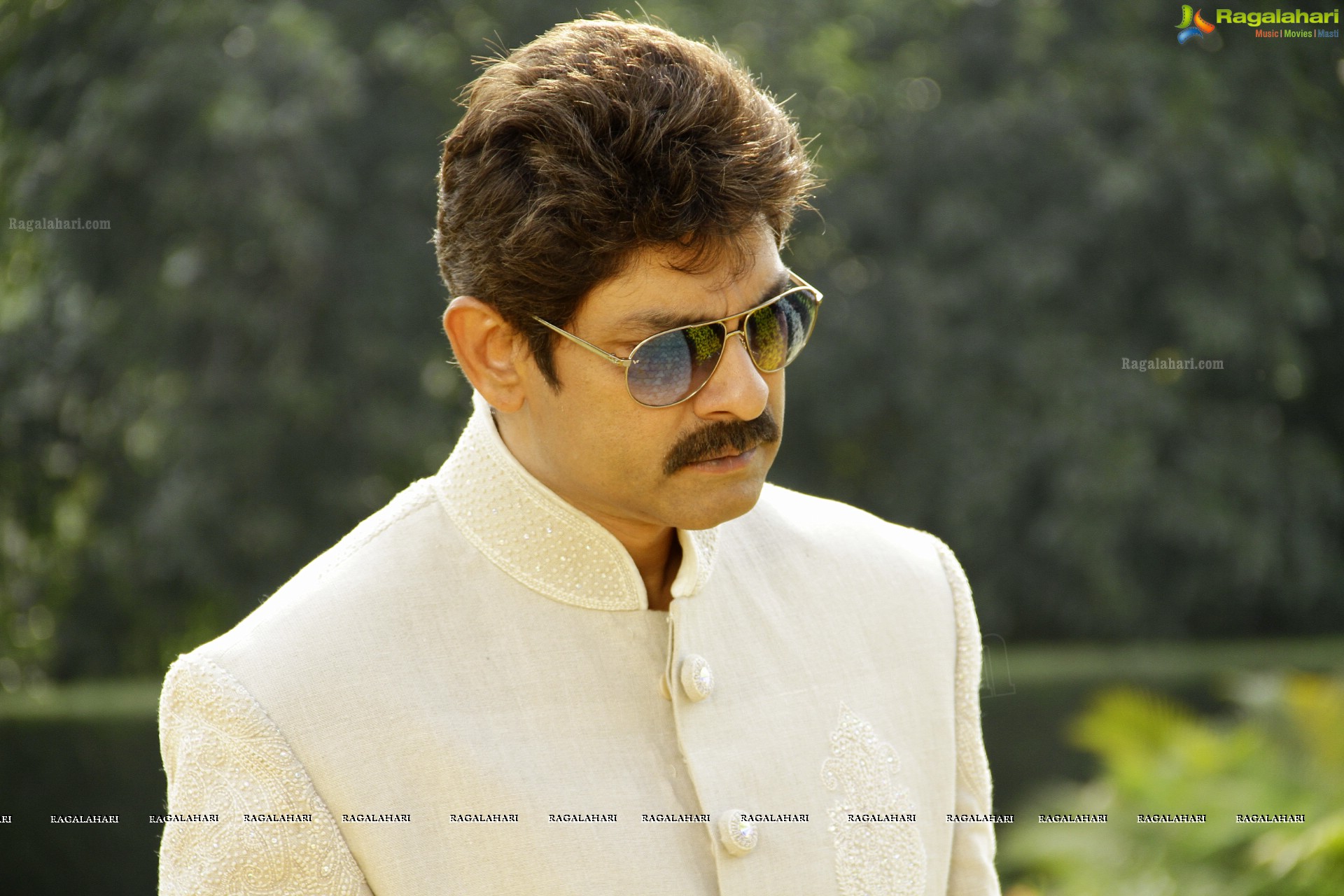 Jagapathi Babu (High Definition)