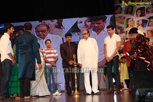 Cinema Mahila Awards 2013