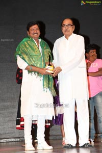 Cinema Mahila Awards 2013