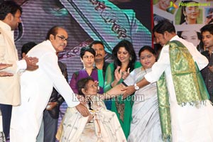 Cinema Mahila Awards 2013