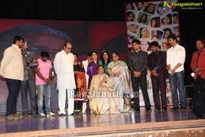 Cinema Mahila Awards 2013