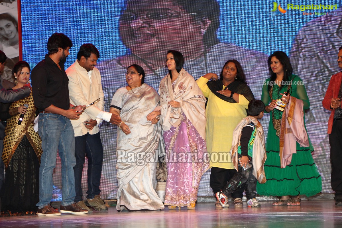 Cinema Mahila Awards 2013