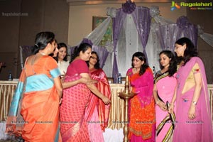 Deepskikha Mahila Club Installation Meeting