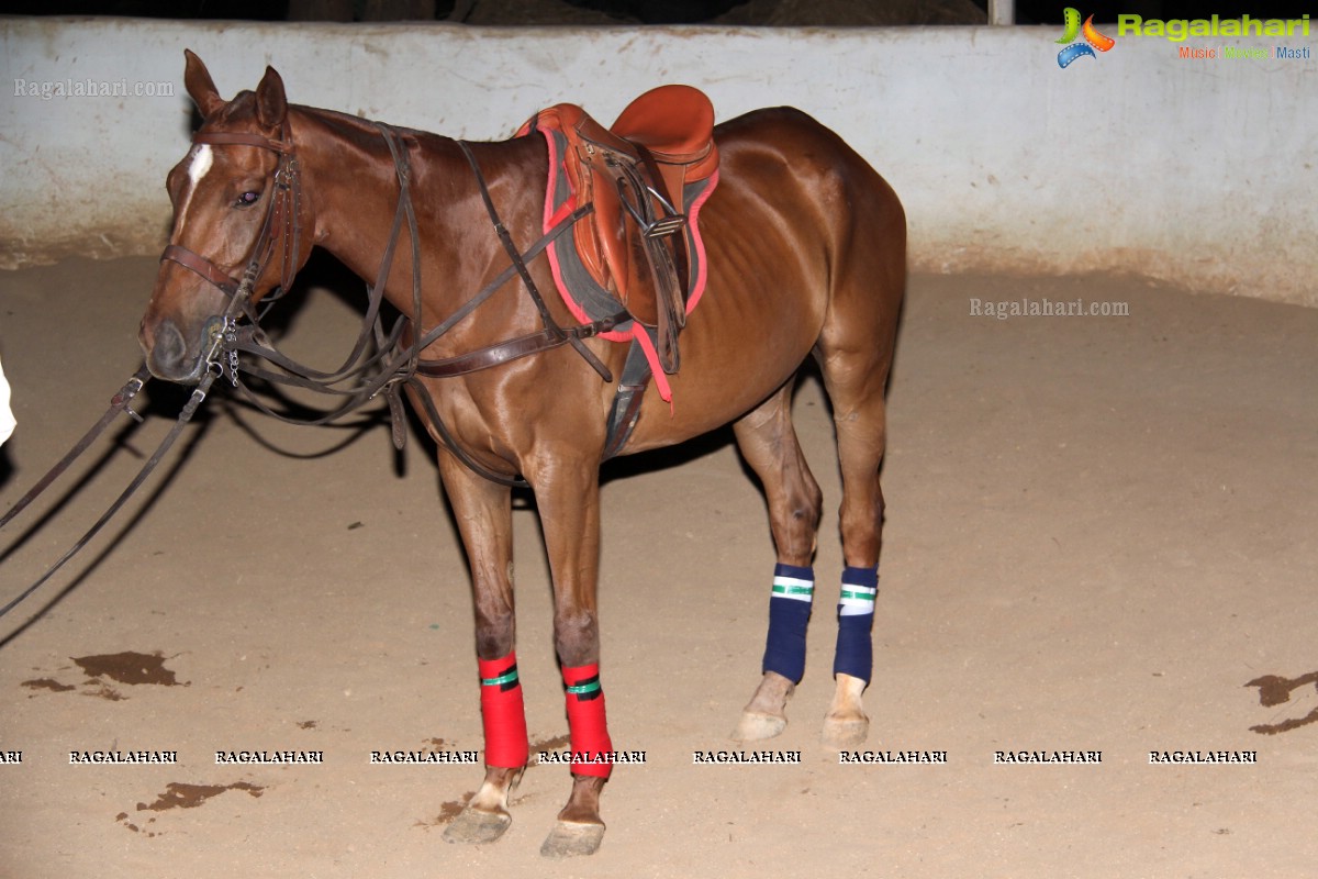 Hyderabad Polo & Racing Club Charity Art Exhibition