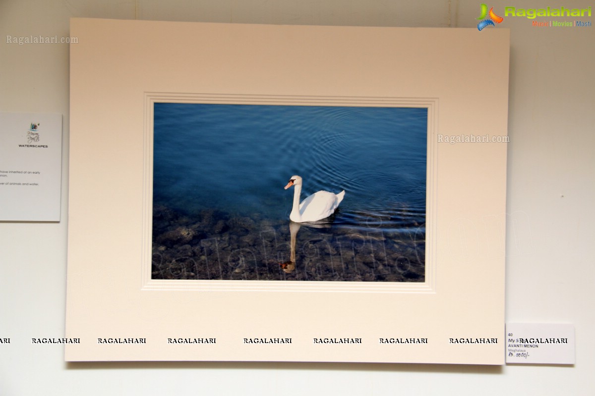 Waterscapes 2013 - Art Exhibition by Anjolie Ela Menon