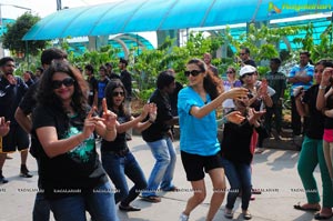 World Environment Day 2013 Celebrations