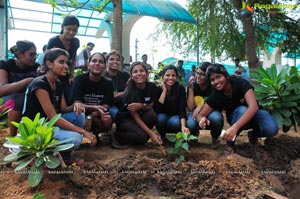 World Environment Day 2013 Celebrations