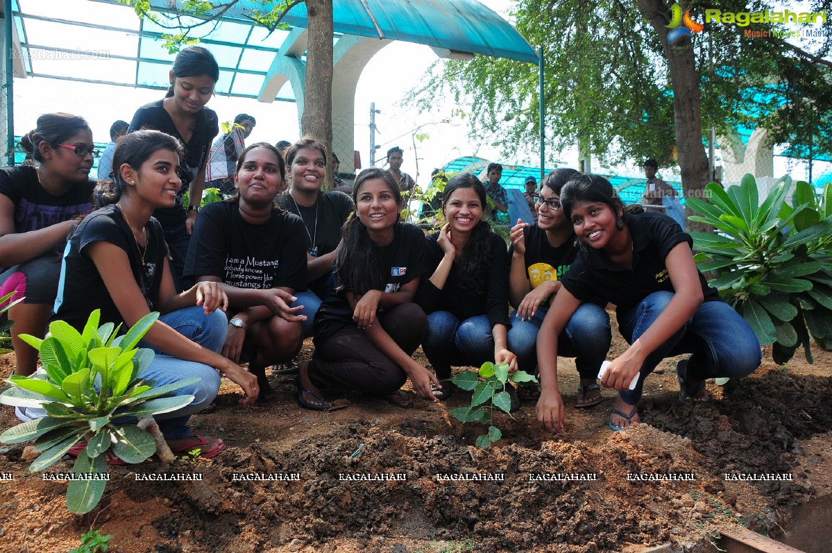 World Environment Day 2013 Celebrations at The Park, Hyderabad