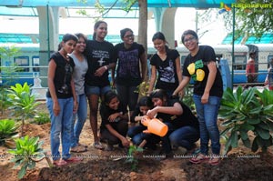 World Environment Day 2013 Celebrations