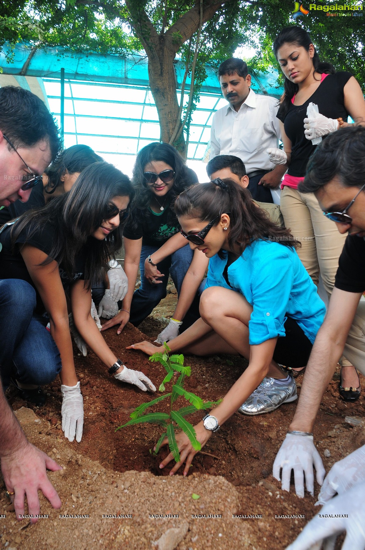 World Environment Day 2013 Celebrations at The Park, Hyderabad