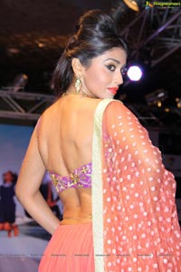 Passionate Foundation NGO Fashion Show