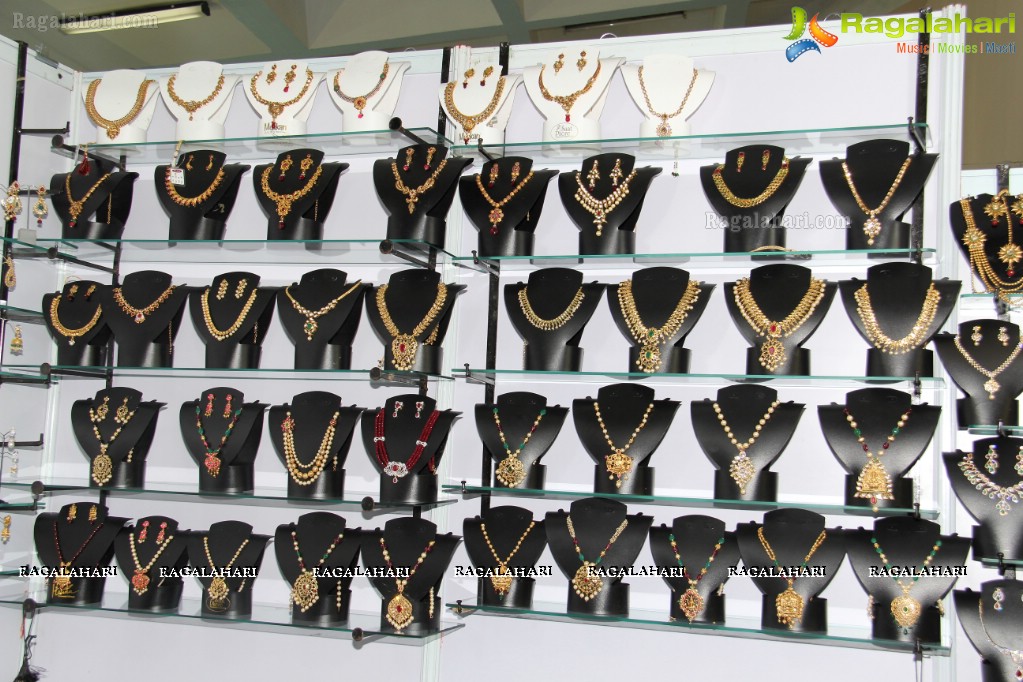 Trendz Exhibition (June 2013) at Satya Sai Nigamagamam, Hyderabad