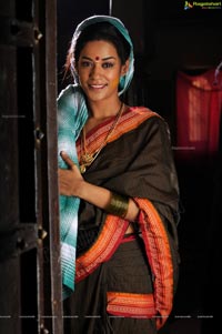 Mumaith Khan in Hot Saree