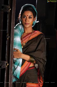 Mumaith Khan in Hot Saree