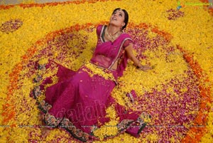 Nisha Aggarwal in Hot Pink Half Saree