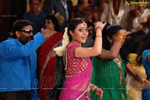 Nisha Aggarwal in Hot Pink Half Saree