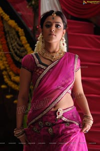 Nisha Aggarwal in Hot Pink Half Saree