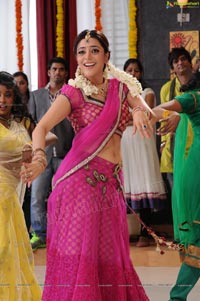 Nisha Aggarwal in Hot Pink Half Saree