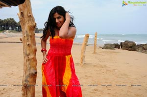 Nisha Shah Beach Wallpapers