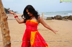 Nisha Shah Beach Wallpapers