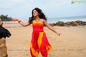 Nisha Shah Beach Wallpapers