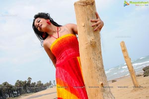 Nisha Shah Beach Wallpapers