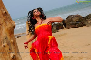 Nisha Shah Beach Wallpapers