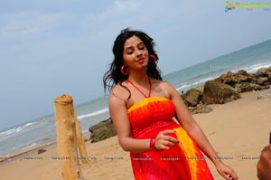 Nisha Shah Beach Wallpapers