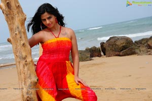 Nisha Shah Beach Wallpapers