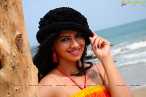 Nisha Shah Beach Wallpapers