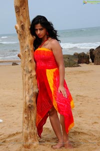 Nisha Shah Beach Wallpapers