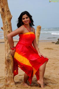 Nisha Shah Beach Wallpapers