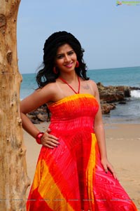 Nisha Shah Beach Wallpapers