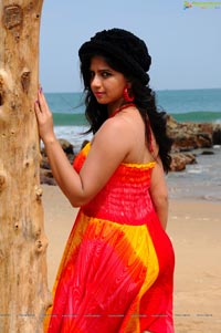 Nisha Shah Beach Wallpapers