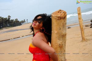 Nisha Shah Beach Wallpapers