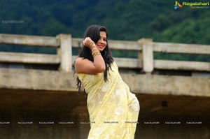 Nisha Shah Saree Photos