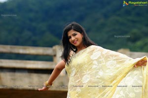 Nisha Shah Saree Photos