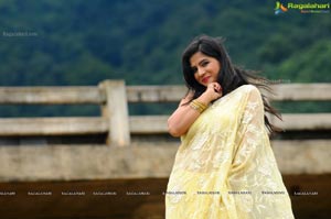 Nisha Shah Saree Photos