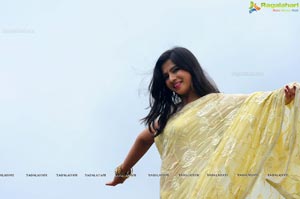 Nisha Shah Saree Photos